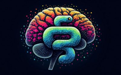 Pourquoi Python est-il le langage le plus utilisé en IA ?